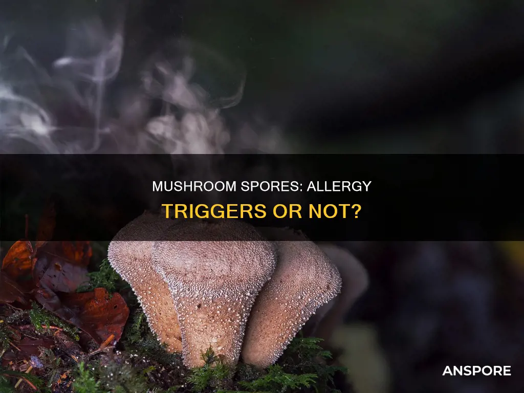 do mushroom spores cause allergies