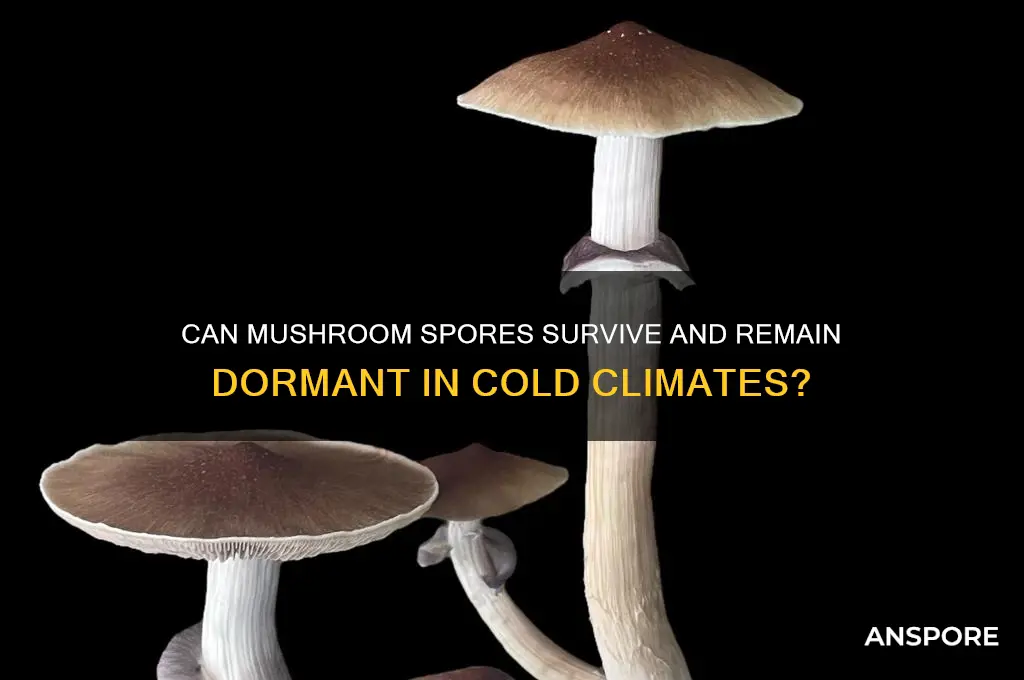 do mushroom spores go dormant in cold climate