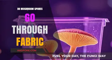 Can Mushroom Spores Penetrate Fabric? Exploring the Science Behind It