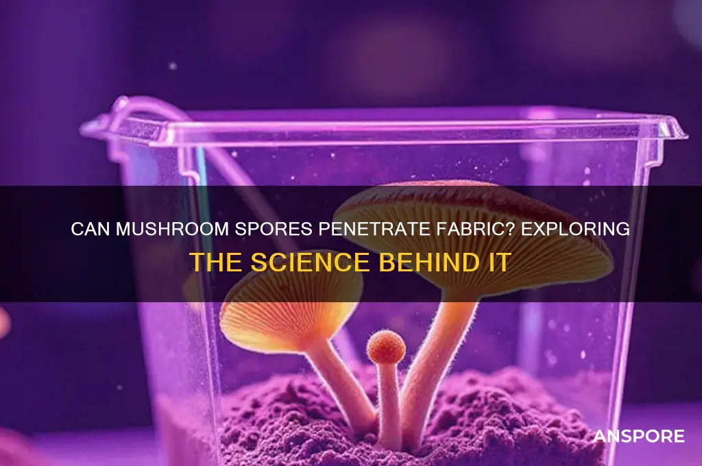 do mushroom spores go through fabric