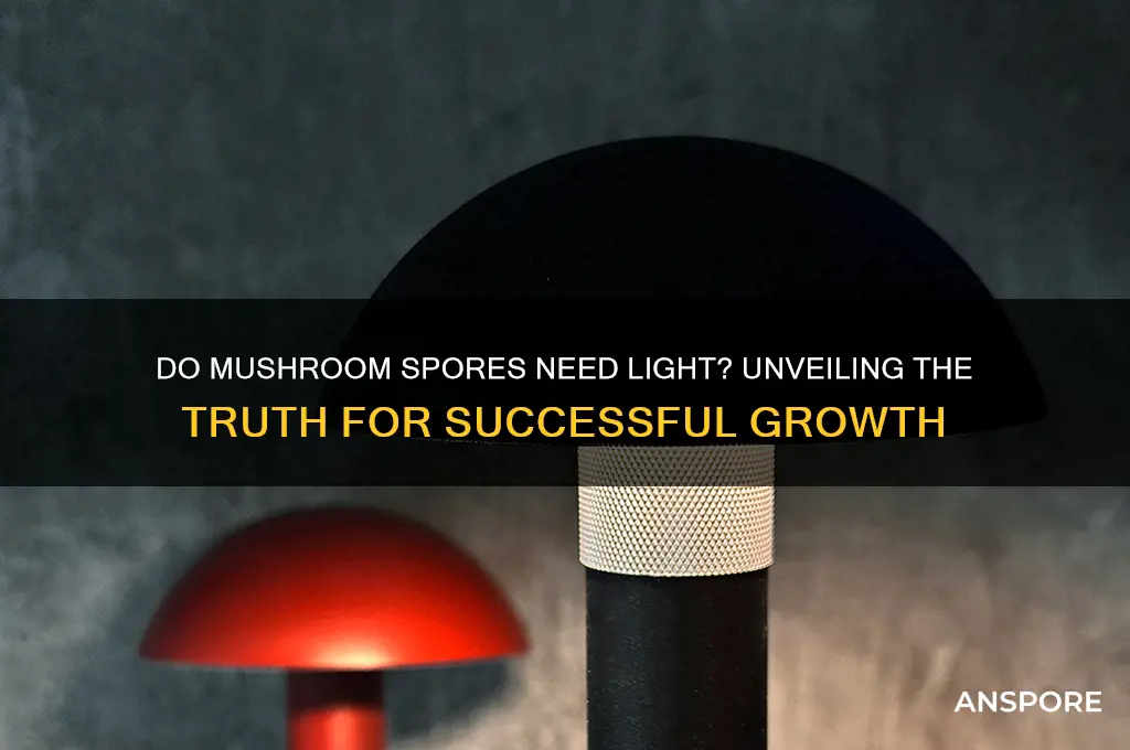 do mushroom spores need light