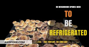 Should Mushroom Spores Be Refrigerated? Storage Tips for Optimal Viability