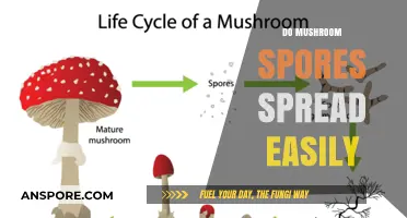 Mushroom Spores: Easy Spread, Easy Growth?