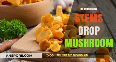 Grow Your Own: Mushroom Stems Drop Mushrooms