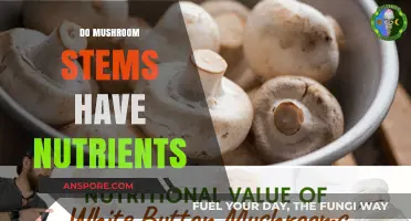 Mushroom Stems: Are They Nutritious?