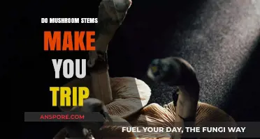 Do Mushroom Stems Cause Psychedelic Trips? Facts and Myths Explained