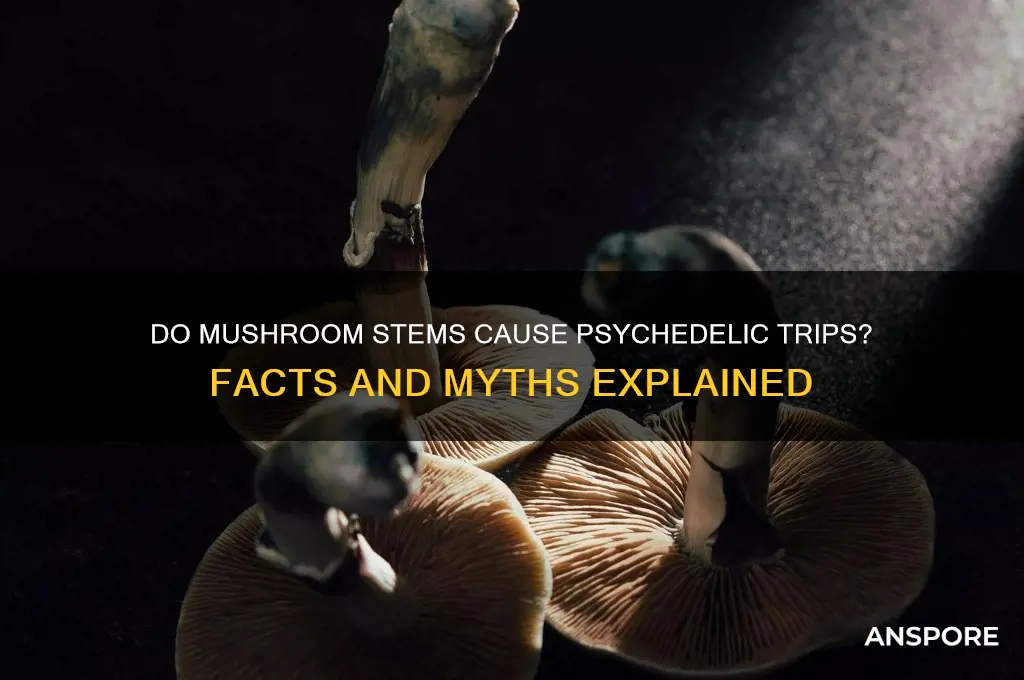 do mushroom stems make you trip