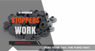 Mushroom Stoppers: Do They Work?