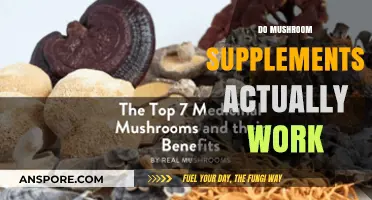 Mushroom Supplements: Effective or Just a Fad?