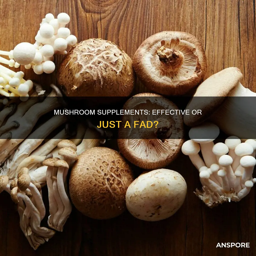 do mushroom supplements actually work