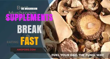 Mushroom Supplements: Breaking Fast or Not?