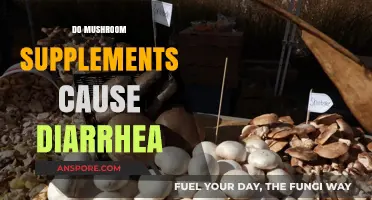 Mushroom Supplements: Friend or Foe to Your Gut?
