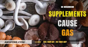 Mushroom Supplements: Gas and Bloating Side Effects?