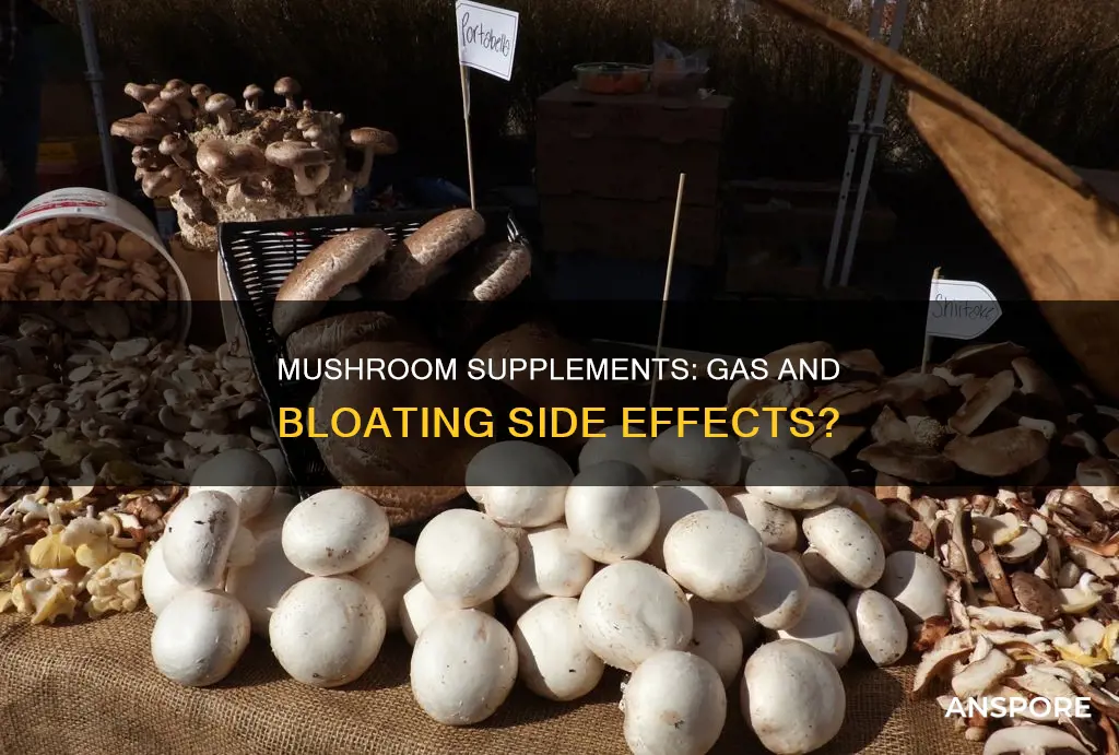 do mushroom supplements cause gas
