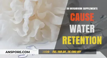 Mushroom Supplements and Water Retention: Fact or Fiction?