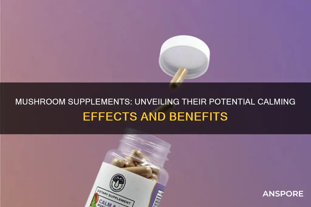 do mushroom supplements have calming effects