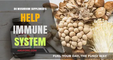 Boosting Immunity: The Science Behind Mushroom Supplements' Health Benefits