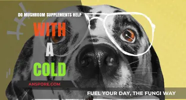 Can Mushroom Supplements Boost Immunity and Ease Cold Symptoms?