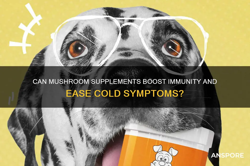 do mushroom supplements help with a cold