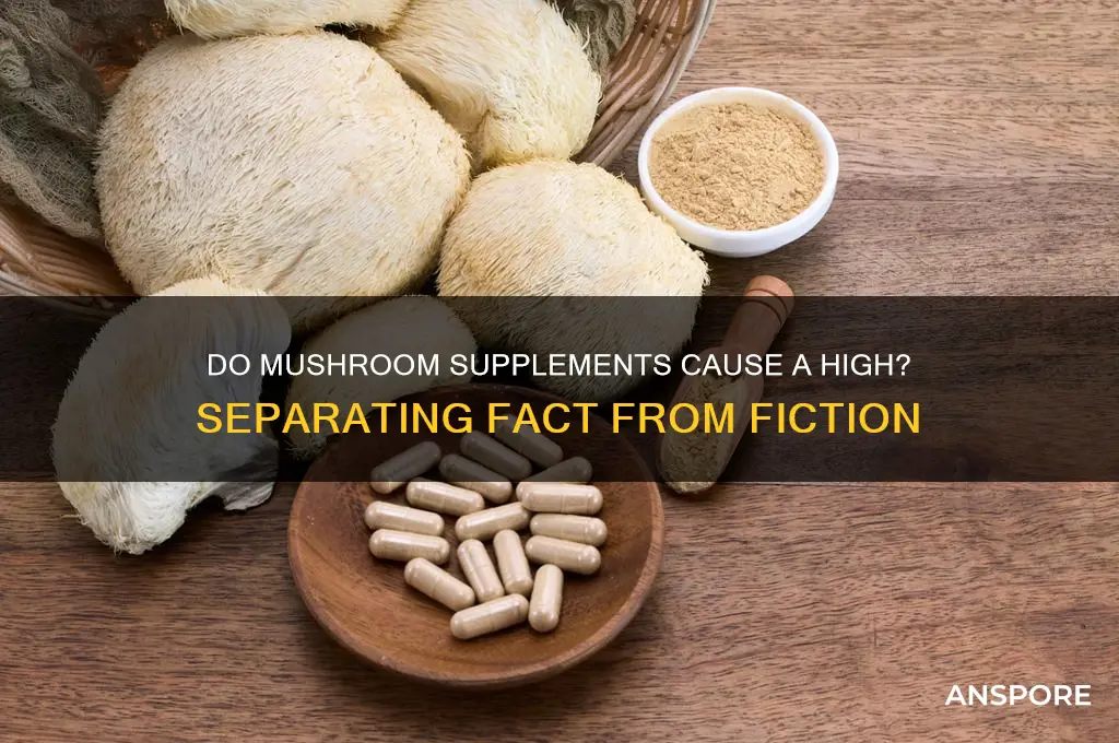 do mushroom supplements make you high