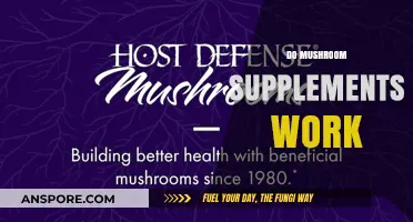 Mushroom Supplements: Do They Work?
