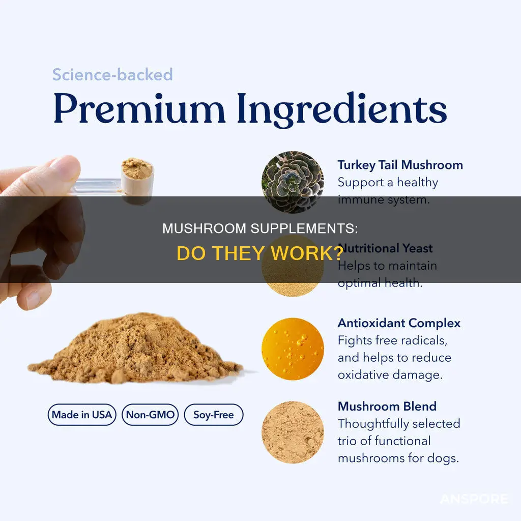 do mushroom supplements work