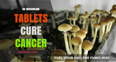 Mushroom Tablets: Cancer Cure or Hoax?