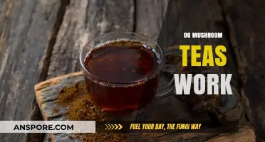 Mushroom Teas: Do They Work?