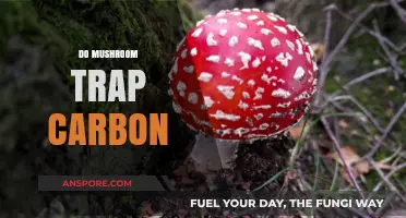 Mushrooms: Capturing Carbon, Saving the Planet