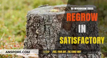 Do Mushroom Trees Regrow in Satisfactory? A Comprehensive Guide