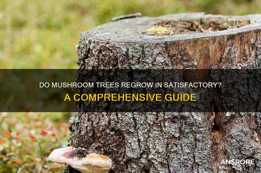 do mushroom trees regrow in satisfactory