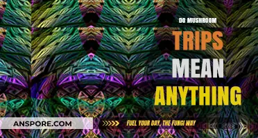 Psychedelic Mushroom Trips: Meaningful or Meaningless?
