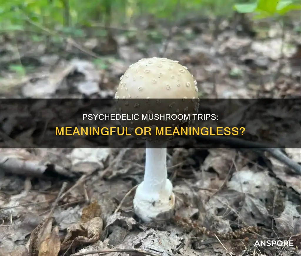 do mushroom trips mean anything
