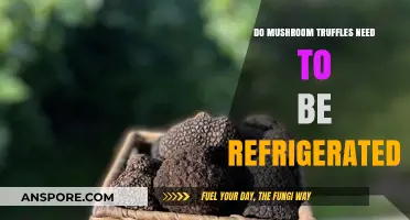 Should Mushroom Truffles Be Refrigerated? Storage Tips for Freshness