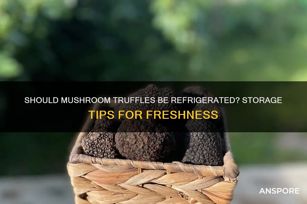 do mushroom truffles need to be refrigerated