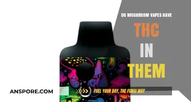 Do Mushroom Vapes Contain THC? Unveiling the Truth