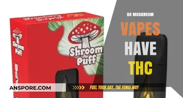 Vaping Mushrooms: THC or Not?
