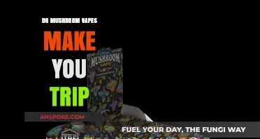 Do Mushroom Vapes Induce Psychedelic Trips? Exploring the Truth