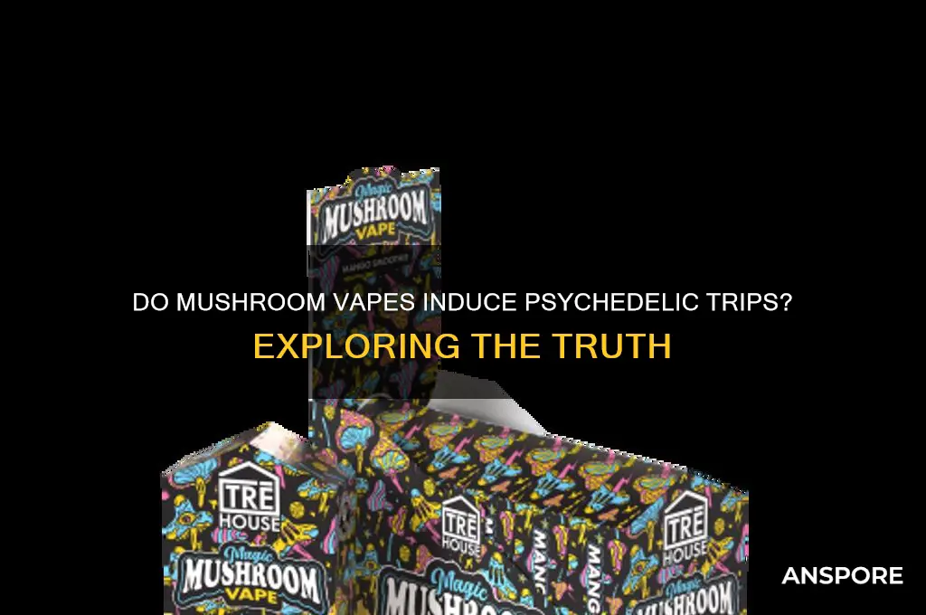 do mushroom vapes make you trip