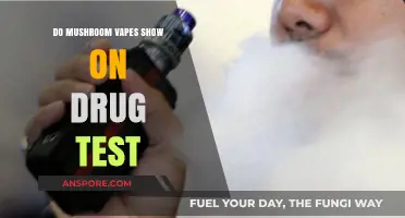 Do Mushroom Vapes Appear on Standard Drug Tests?