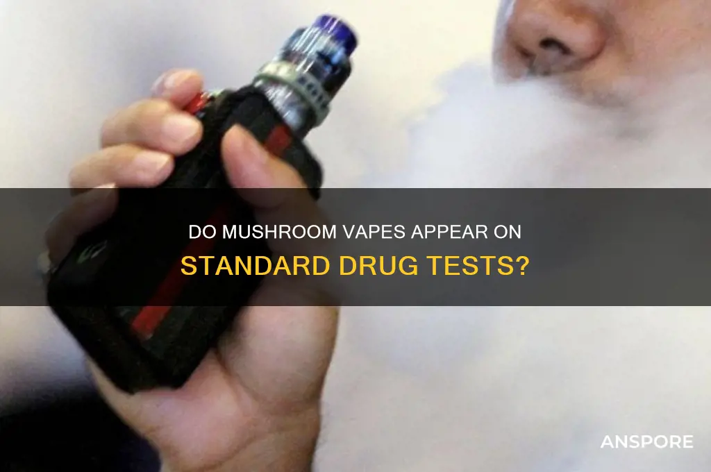 do mushroom vapes show on drug test