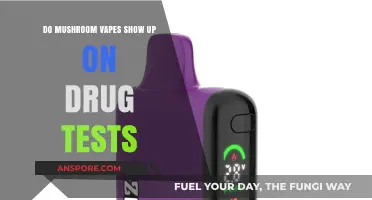 Do Mushroom Vapes Appear on Standard Drug Tests?