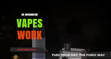 Mushroom Vapes: Do They Work?