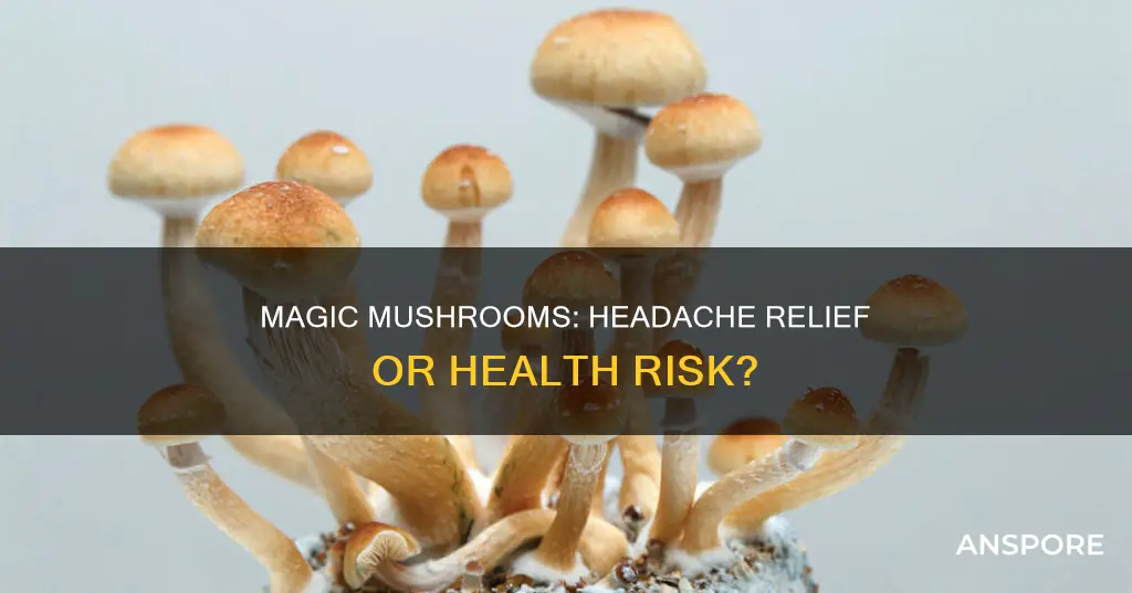 do mushrooms abort headaches