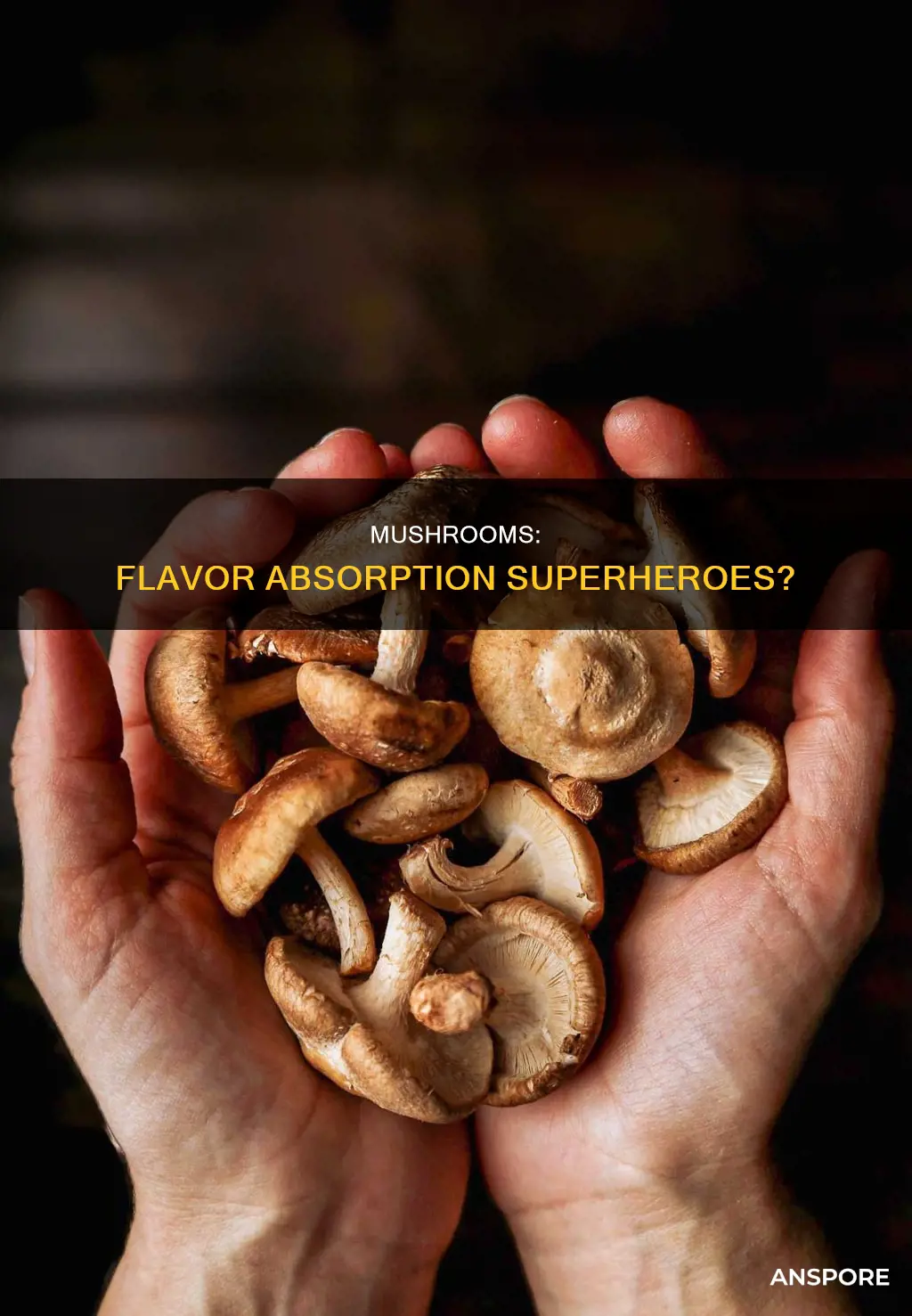 do mushrooms absorb flavor