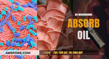 Mushrooms: Oil Absorption Superheroes?