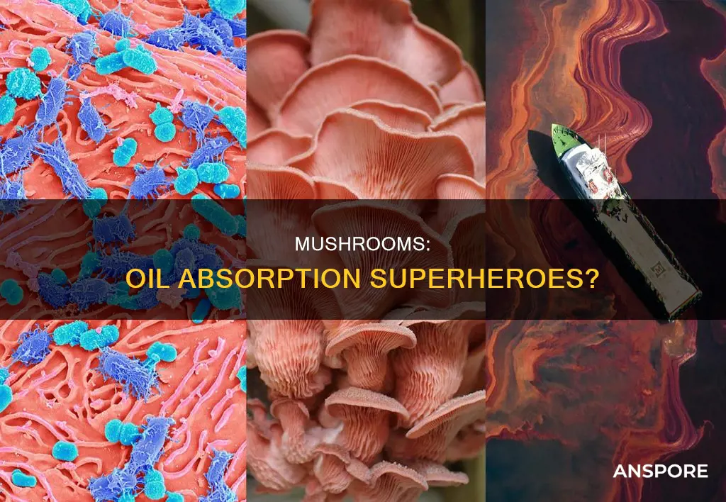 do mushrooms absorb oil