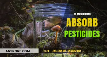 Mushrooms and Pesticides: Absorbing the Truth