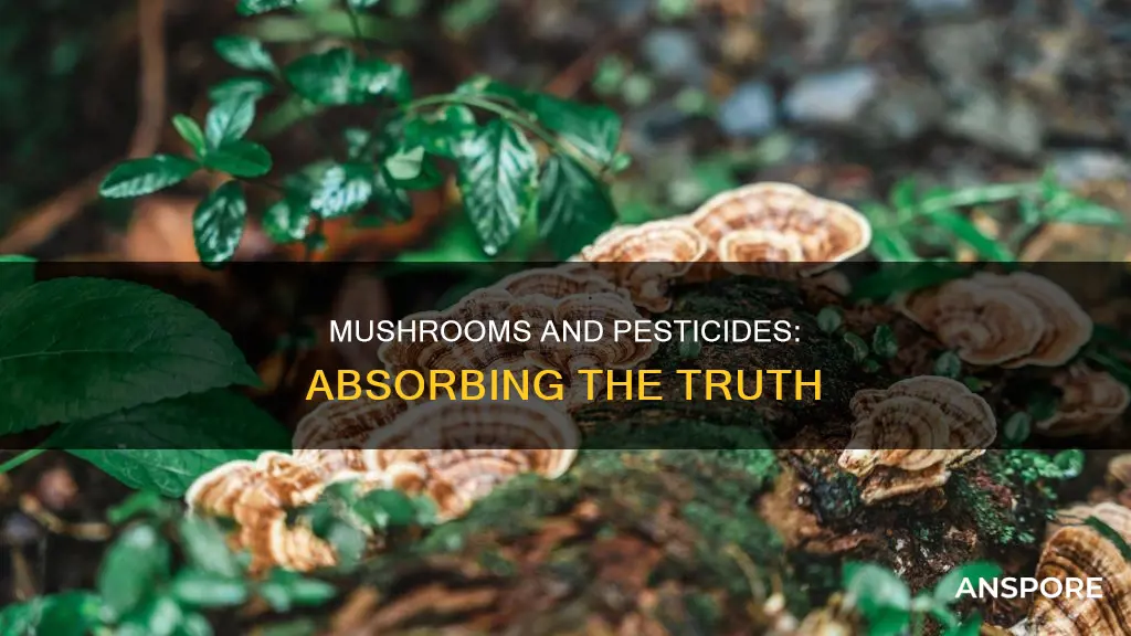 do mushrooms absorb pesticides