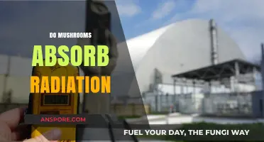 Mushrooms: Natural Radiation Absorbers?